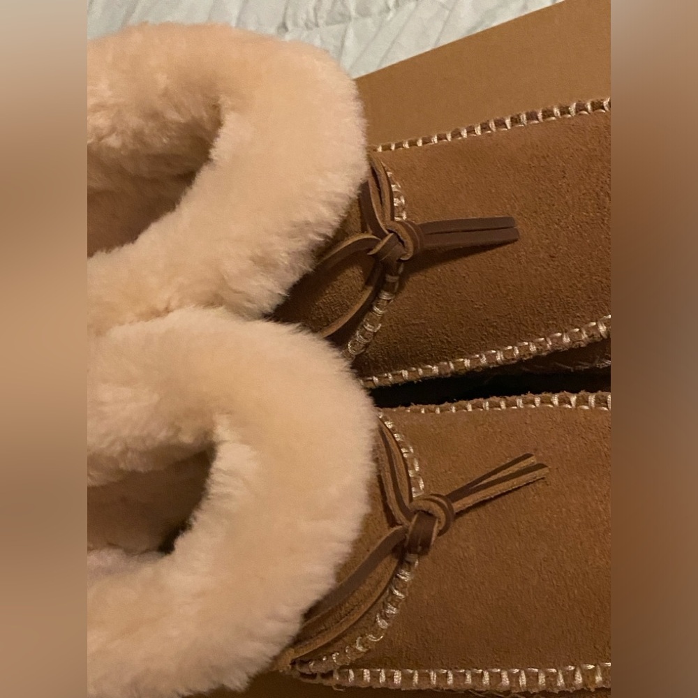 Brand New In Box Classic Mini Alpine Ugg Boots Size 9 in Chestnut - Picture 5 of 16